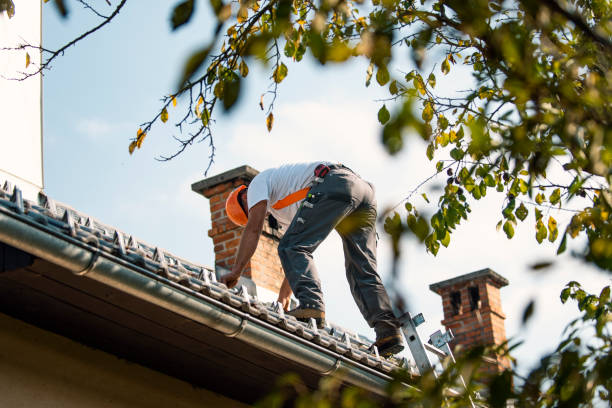 Quick and Trustworthy Emergency Roof Repair Services in Dalzell, SC