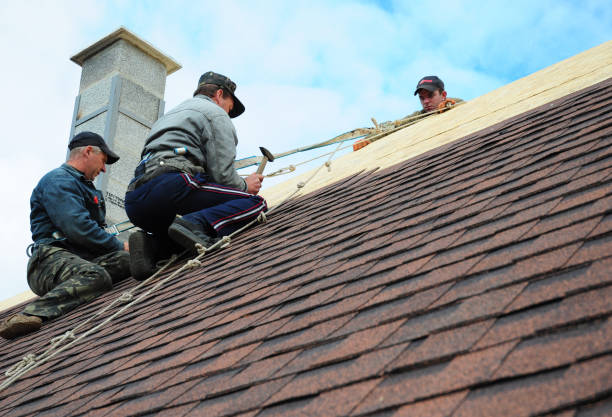Best Local Roofing Companies  in Dalzell, SC